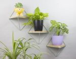 Home Decor with Wall Mounted Wooden Shelves