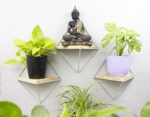 Home Decor with Wall Mounted Wooden Shelves