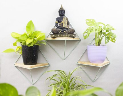 Home Decor with Wall Mounted Wooden Shelves